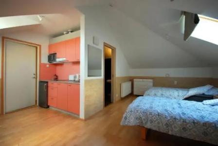 Piibutopsu Holiday House - 3