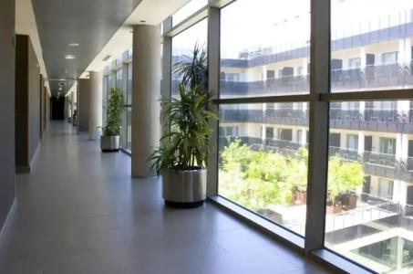 Thalasia Costa de - 49