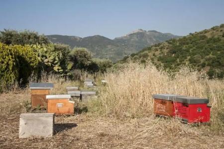 Azienda Agrituristica Bergi - 36