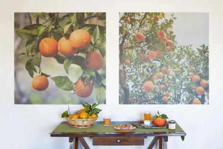 Azienda Agrituristica Bergi - 7