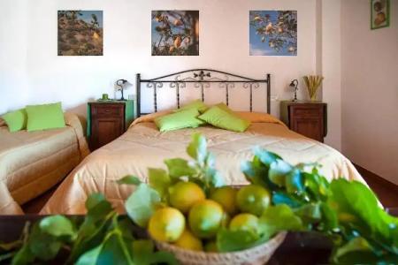 Azienda Agrituristica Bergi - 22