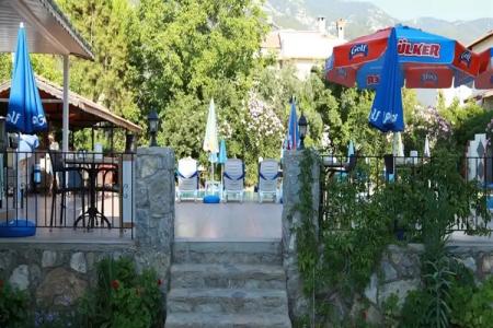 The Green Valley - 12