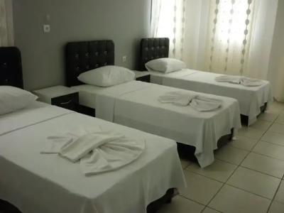 The Green Valley - 13