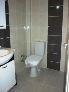 The Green Valley - 42