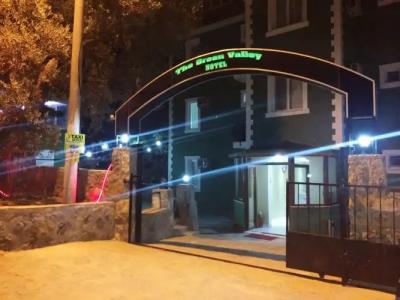 The Green Valley - 24