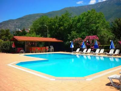 The Green Valley - 15