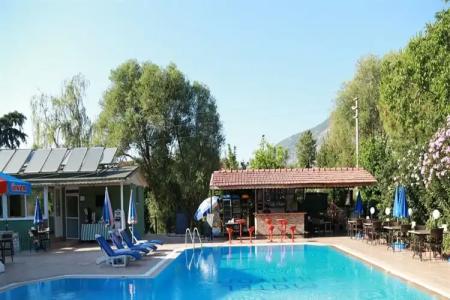 The Green Valley - 10