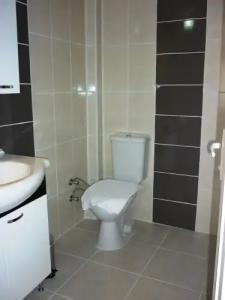 The Green Valley - 6