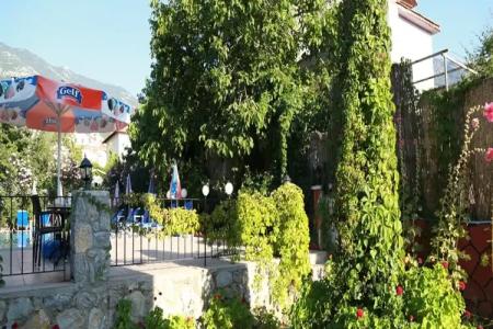 The Green Valley - 11