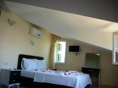 The Green Valley - 1