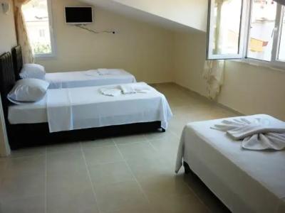 The Green Valley - 2