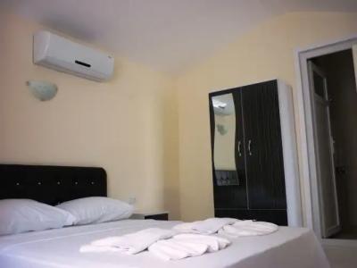 The Green Valley - 5