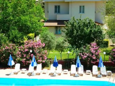 The Green Valley - 14