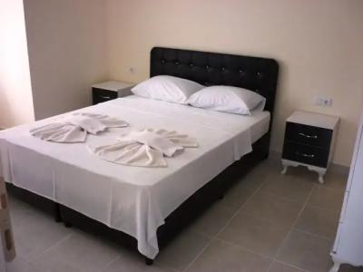 The Green Valley - 3