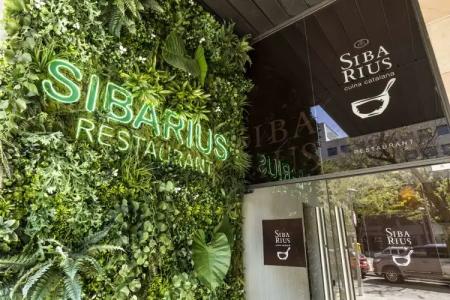 Catalonia Gran Verdi - 0