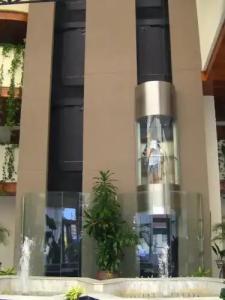 Don Angel Adults Recommended - 0