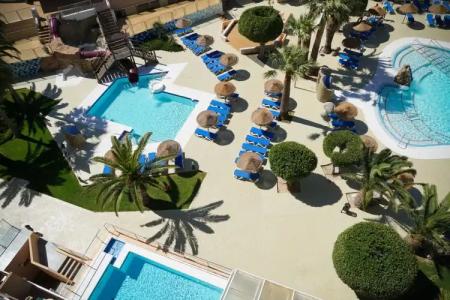 Alegria Fenix Family - 19