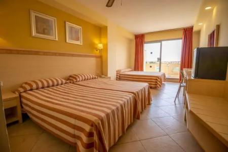 Alegria Fenix Family - 3