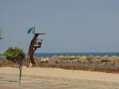 Apartamentos turísticos Jardines del Plaza - 23