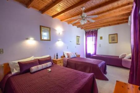 Panormos and Studios - 139