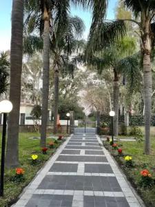 Park Oasi - 28