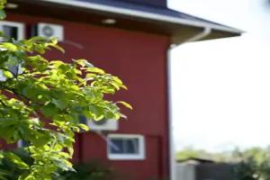 Shato Gaga Guest house, Gudauta