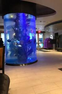 Dream Midtown, by Hyatt - 13