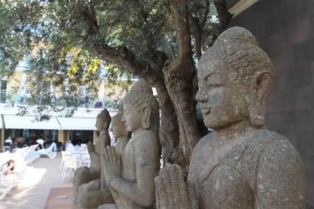 La Palmera & Spa - 14