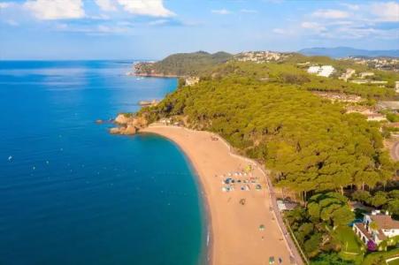 LLORET HIGH - PREMIUM - 17