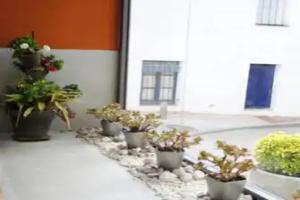 La Muntanya, Llafranc