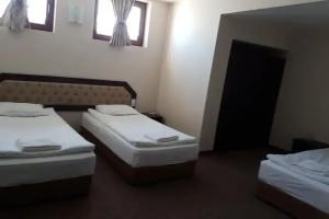 Hotel Podkovata, Etropole