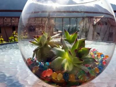 Apartments Lazarević - 46