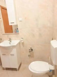 Apartments Lazarević - 49