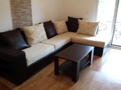 Apartments Lazarević - 58