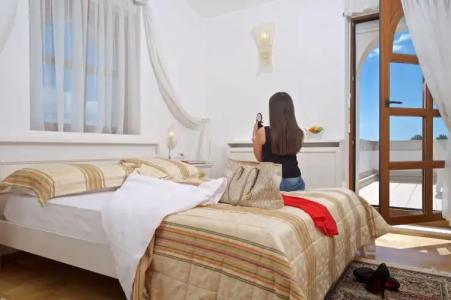 Luxury Boutique Villa Vulin - 54