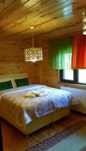 Dagevi Butik Apart - 4