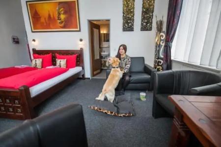 Apartam Münzplatz - 80