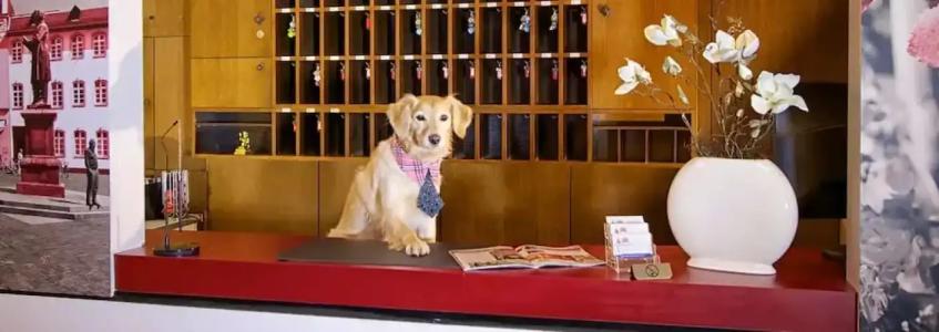 Apartam Münzplatz - 1