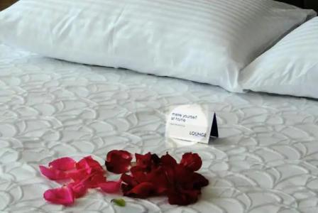 Lounge Boutique - 61