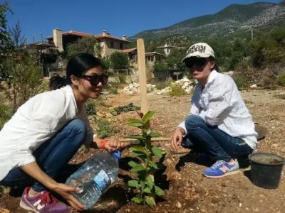 Beymelek Tas Evler - 12