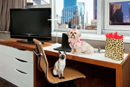 DoubleTree by Hilton Metropolitan City - 2