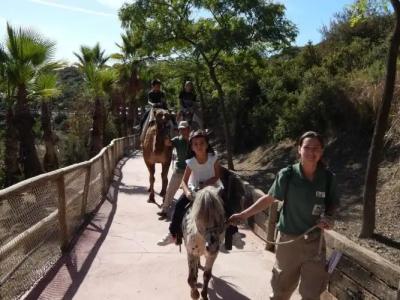 Selwo Lodge - Animal Park Tickets Included - 8