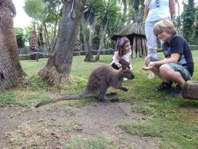 Selwo Lodge - Animal Park Tickets Included - 6