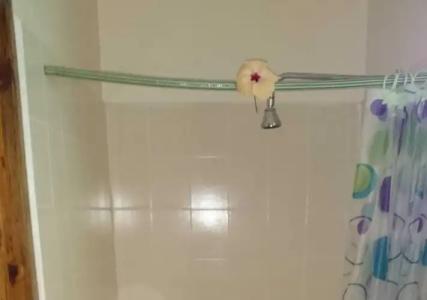 C'Est Mon Choix - 11