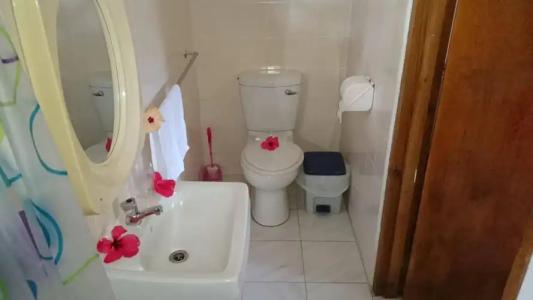 C'Est Mon Choix - 27