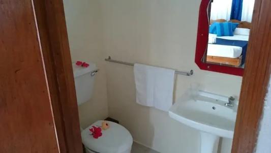 C'Est Mon Choix - 55