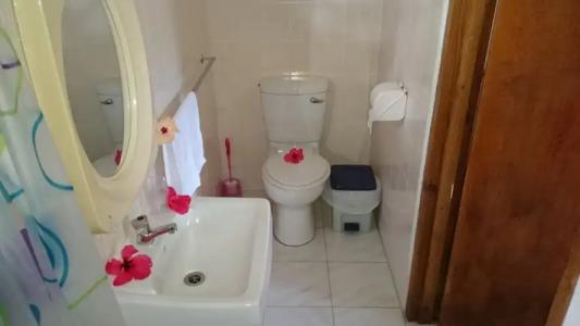 C'Est Mon Choix - 50