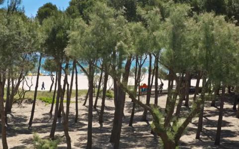 Apartamentos Salles Beach - 11