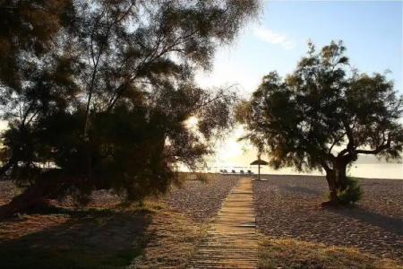 Panorama Pollensa - 15