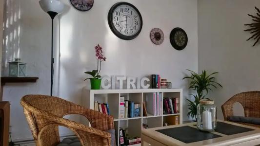 Salino Port Soller - Adults Only +16 - 4